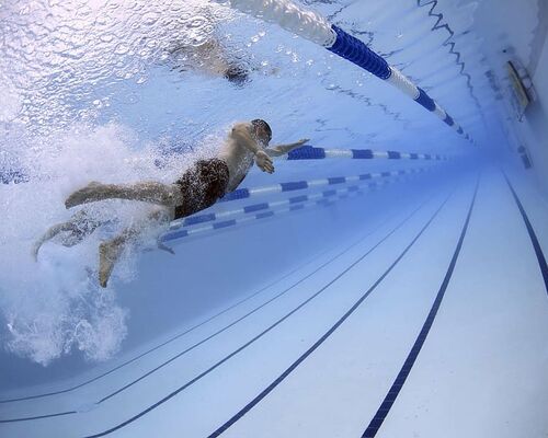 swimmers-swimming-race-competition