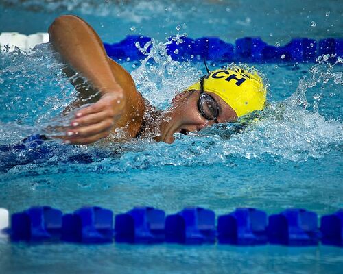 swimming-swimmer-female-race