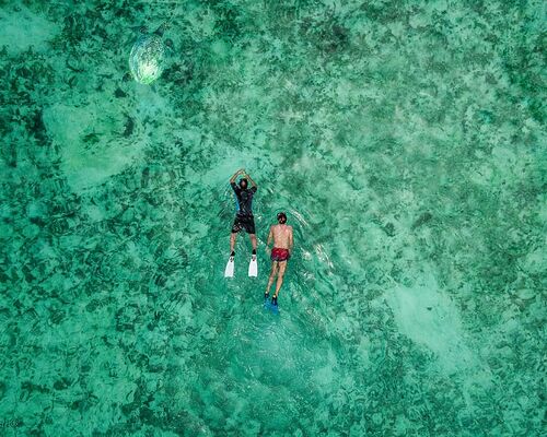 maldives-thoddoo-swim-wallpapers