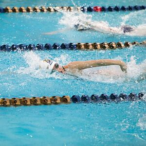 swimming-athlete-pool-competition-water-indoor