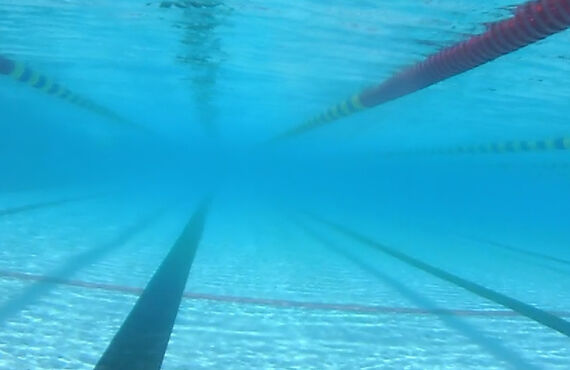 楽しく学ぼう水泳教室HappinessSwim