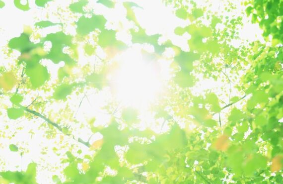 HappinessSwim　水泳教室　小学生未満４４００円　小学生６６００円